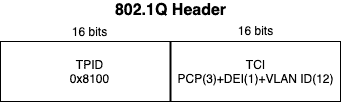 802.1q header