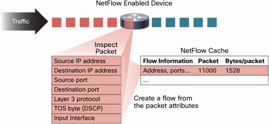 Netflow and Flow cache entry image