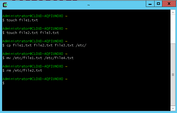 cygwin working with files