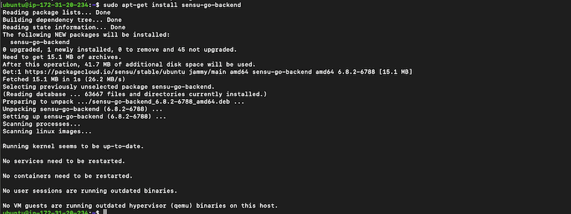 Downloading and Installing Sensu Go Backend on Ubuntu 22.04