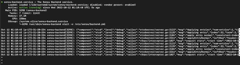 Downloading and Installing Sensu Go Backend on Ubuntu 22.04