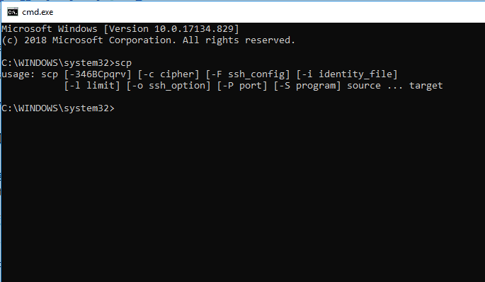 Windows SCP Command output