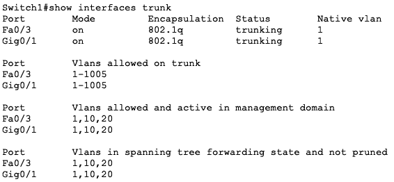 trunk ports command sw1